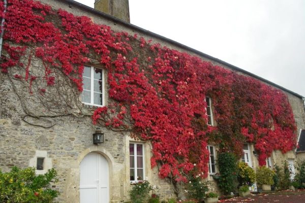 CM-les-vignets-normandie