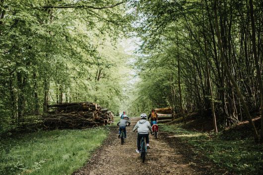 Vélo en forêt de Lyons