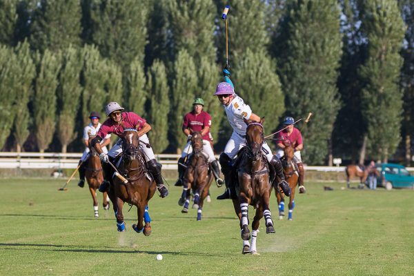 Joueurs de polo pendant la Barrière Polo CupPolo à l'hi