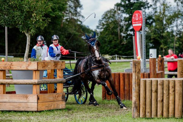 Championnat du monde d'attelage au Haras du Pin