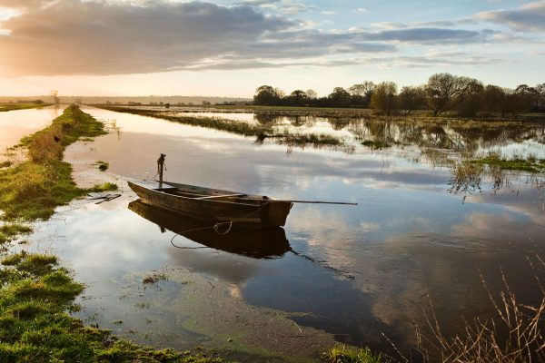 Barque dans le parc naturel régional des marais du Cotentin et du Bessin