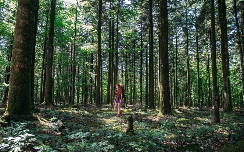 Regional Nature Park and Geopark Normandie-Maine
