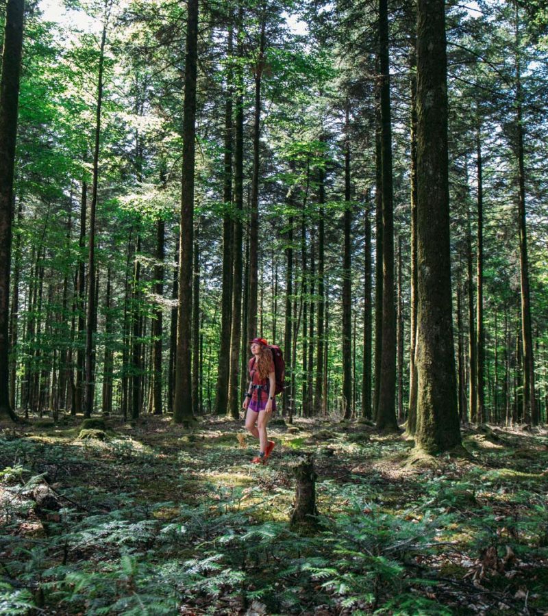 Hiking the GR®22 Trail: a green escape in the Orne
