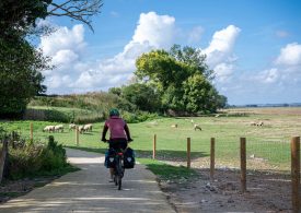 Sur la VéloWestNormandy, en baie du Mont-Saint-Michel