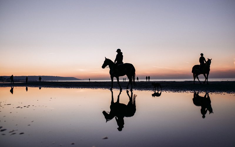 Horse-riding in Normandy
