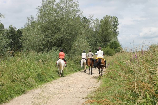 Balade à cheval en vallée de Seine