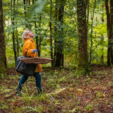 Mushroom foraging weekends in the Orne