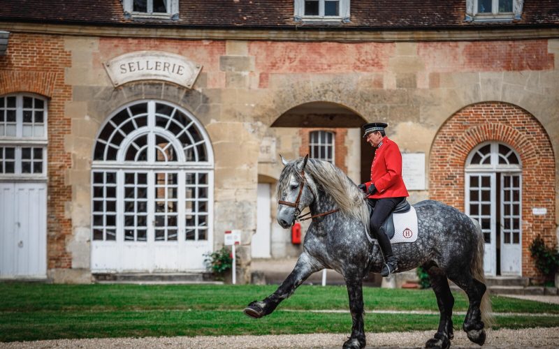 Spectacle au Haras du Pin