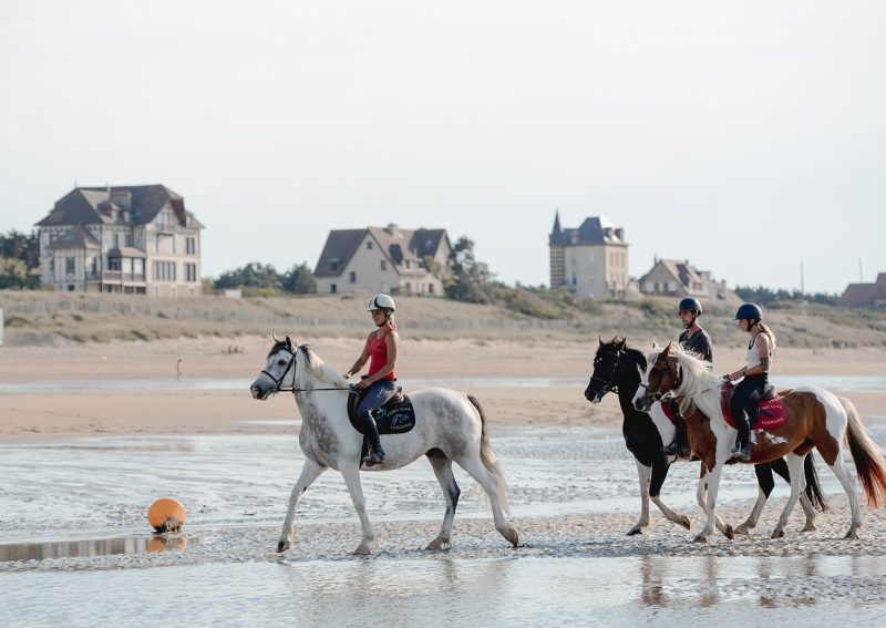 Balade romantique à cheval à Cabourg - Expérience