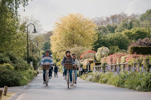 Cycling down 