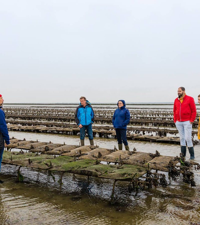 Oyster Farm Tasting Tour in Baie des Veys