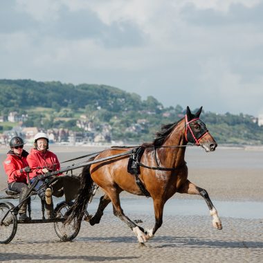 Sulky Expérience sur la plage de Deauville