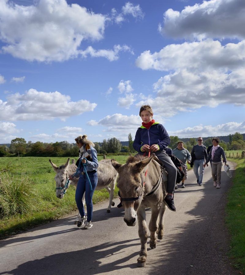 Donkey Ride through the Marais Vernier