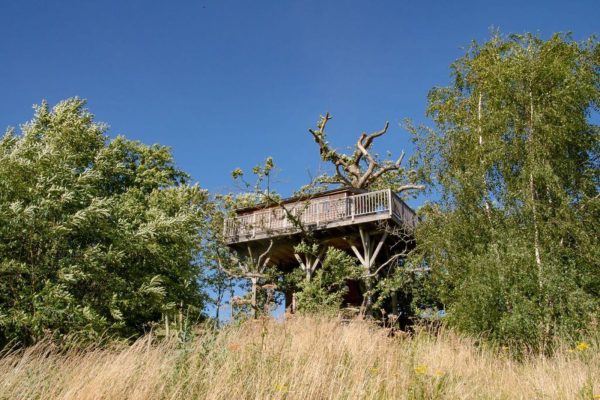Cabane dans les arbres dans le Perche