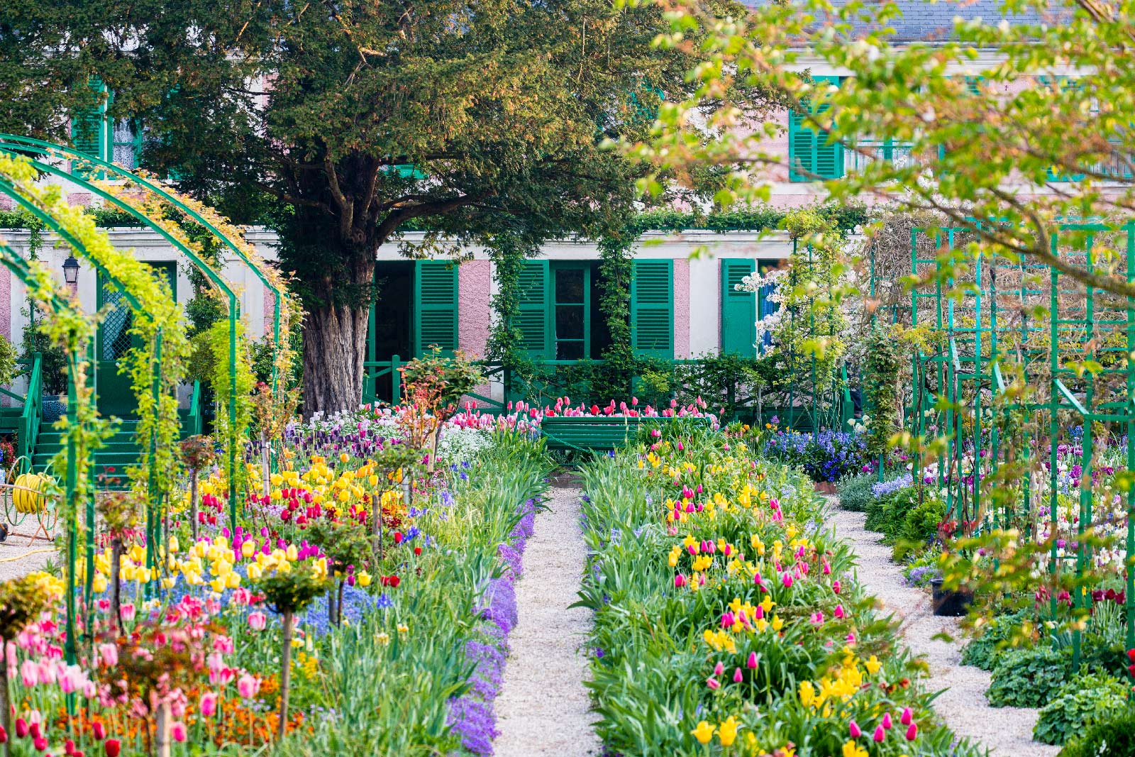 Fondation Claude Monet сад