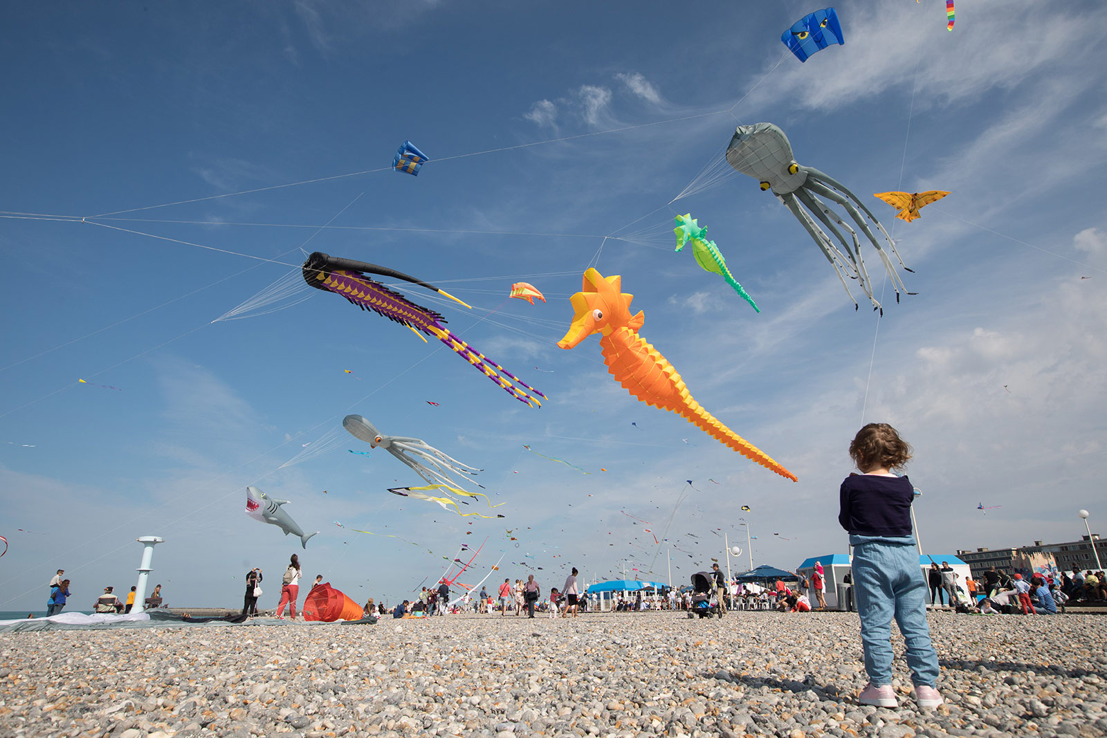 Dieppe International Kite Festival Normandy Tourism, France