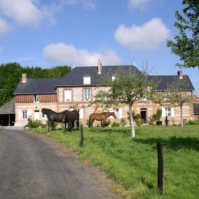 Self-catering accommodation with stables