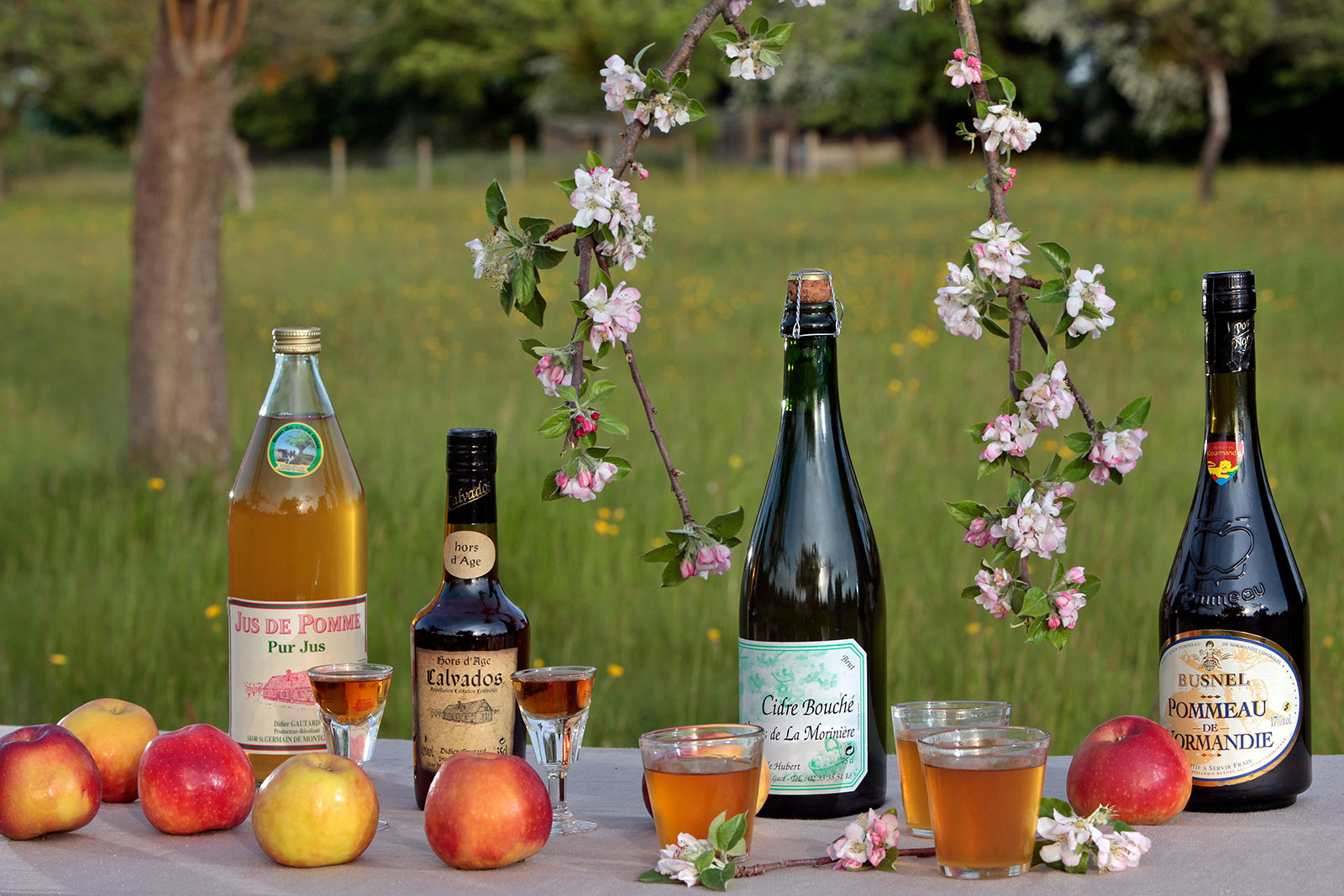 normandy cider tours