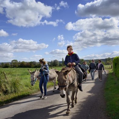 A walk with donkeys in the Marais Vernier