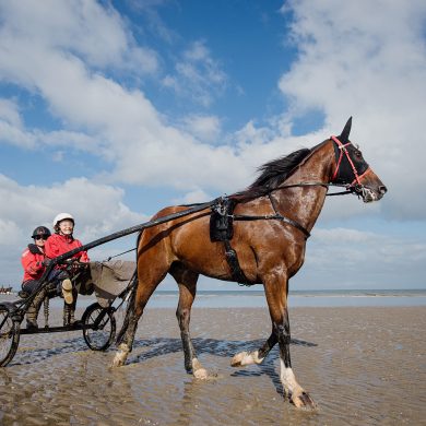 Learning to harness race on Deauville Beach