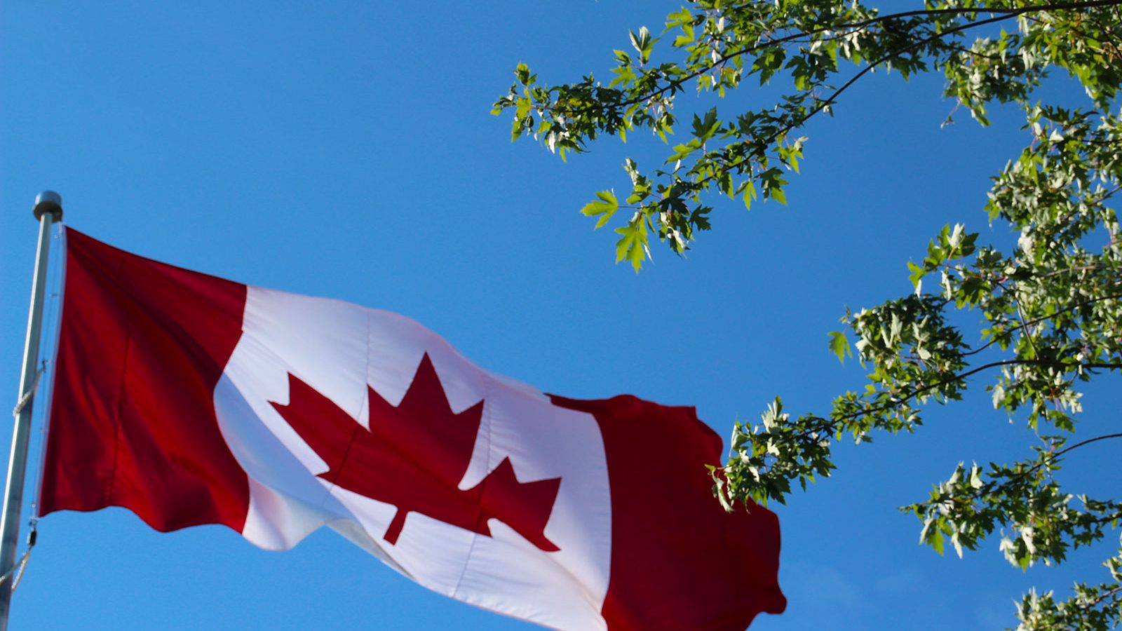 drapeau normand Stock Photo