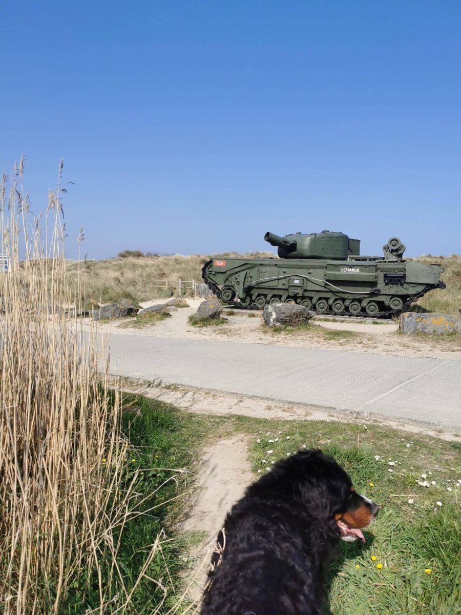 Visit historical sites with your dog © Nathalie Papouin