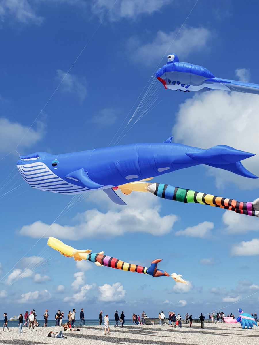 Dieppe International Kite Festival