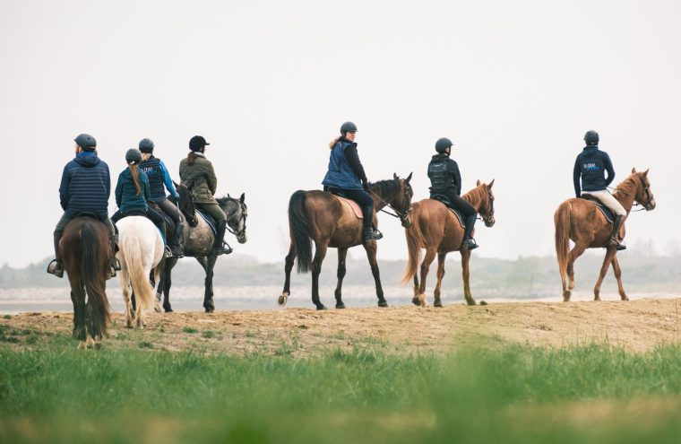 Balade à cheval dans la baie